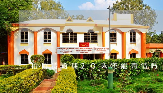 拍拍贷逾期20天还能再借吗 拍拍贷逾期20天还能再借吗