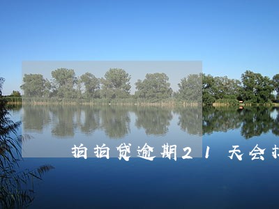 拍拍贷逾期21天会拉黑吗 拍拍贷逾期21天会拉黑吗