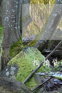 拍拍贷逾期21天怎么办 拍拍贷逾期21天怎么办