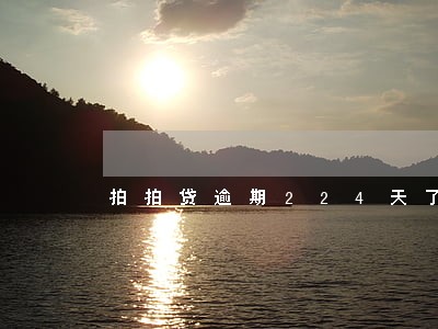 拍拍贷逾期224天了怎么办 拍拍贷逾期224天了怎么办