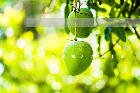 拍拍贷逾期22天上诉 拍拍贷逾期22天上诉
