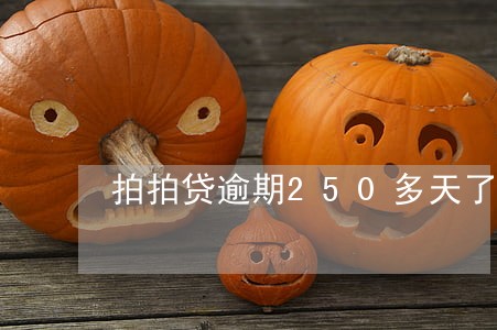 拍拍贷逾期250多天了 拍拍贷逾期250多天了
