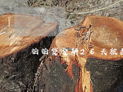 拍拍贷逾期26天被轰炸 拍拍贷逾期26天被轰炸