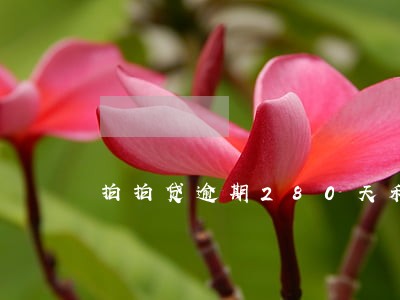 拍拍贷逾期280天利息2千 拍拍贷逾期280天利息2千
