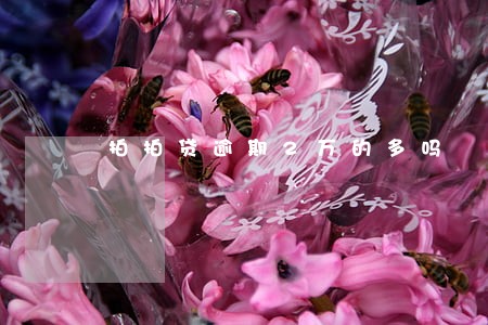 拍拍贷逾期2万的多吗 拍拍贷逾期2万的多吗