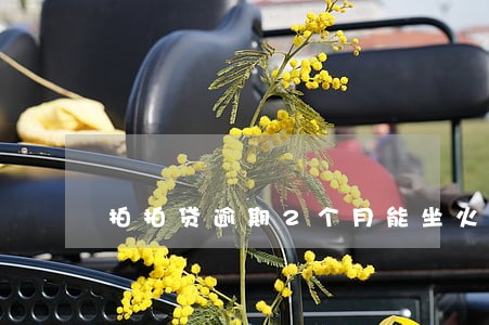 拍拍贷逾期2个月能坐火车嘛 拍拍贷逾期2个月能坐火车嘛