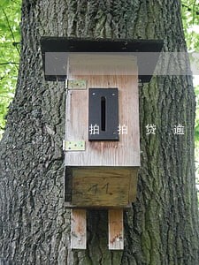 拍拍贷逾期2个月还款