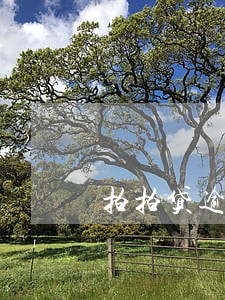 拍拍贷逾期2天后果 拍拍贷逾期2天后果