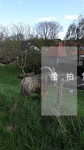 拍拍贷逾期2天怎么处理 拍拍贷逾期2天怎么处理