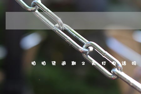 拍拍贷逾期2天打电话吗 拍拍贷逾期2天打电话吗