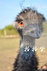 拍拍贷逾期2天有什么后果 拍拍贷逾期2天有什么后果