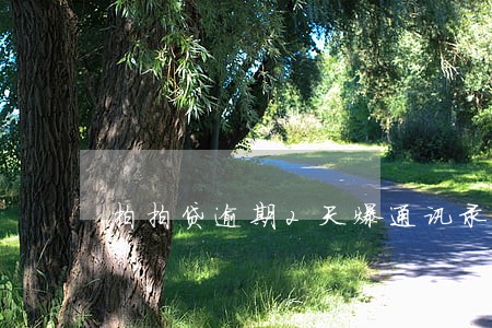 拍拍贷逾期2天爆通讯录吗 拍拍贷逾期2天爆通讯录吗