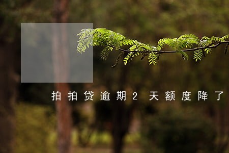 拍拍贷逾期2天额度降了 拍拍贷逾期2天额度降了
