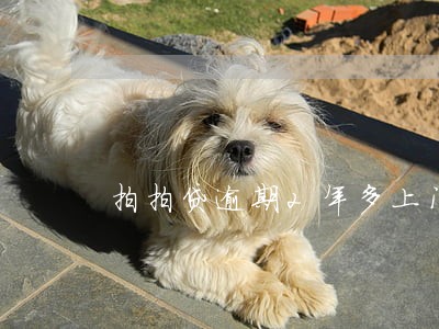 拍拍贷逾期2年多上门 拍拍贷逾期2年多上门