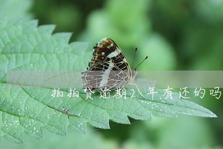 拍拍贷逾期2年有还的吗 拍拍贷逾期2年有还的吗