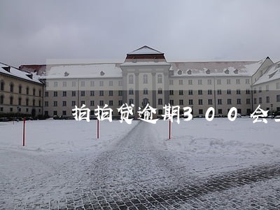 拍拍贷逾期300会上黑名单吗 拍拍贷逾期300会上黑名单吗