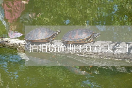 拍拍贷逾期300天会上门吗 拍拍贷逾期300天会上门吗