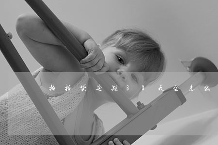拍拍贷逾期30天会怎么
