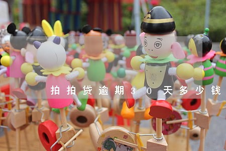 拍拍贷逾期30天多少钱 拍拍贷逾期30天多少钱