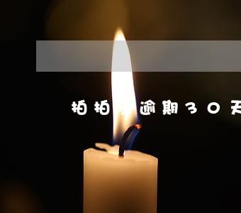 拍拍贷逾期30天还700元