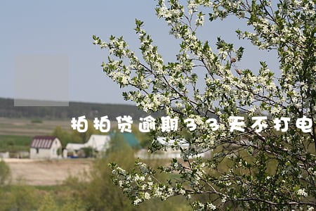 拍拍贷逾期33天不打电话了