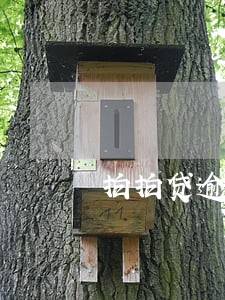 拍拍贷逾期34天