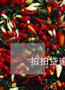 拍拍贷逾期34天怎么还