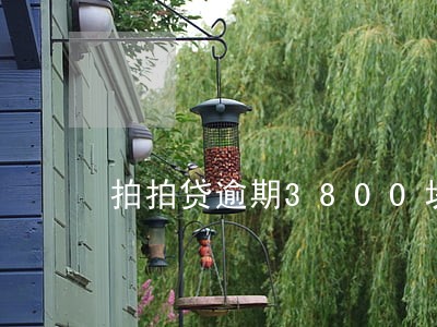 拍拍贷逾期3800块 拍拍贷逾期3800块