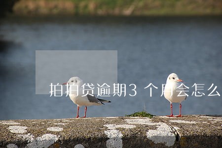 拍拍贷逾期3个月会怎么样 拍拍贷逾期3个月会怎么样
