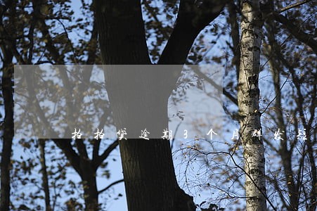 拍拍贷逾期3个月群发短信 拍拍贷逾期3个月群发短信