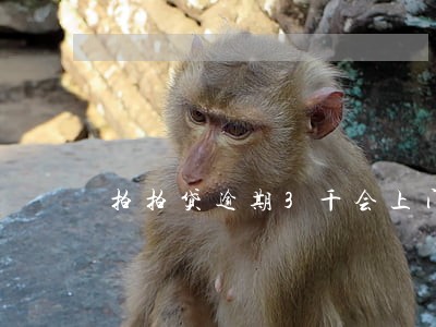 拍拍贷逾期3千会上门来要账 拍拍贷逾期3千会上门来要账