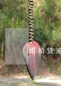 拍拍贷逾期3天会上报征信么 拍拍贷逾期3天会上报征信么
