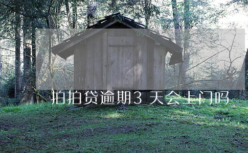 拍拍贷逾期3天会上门吗