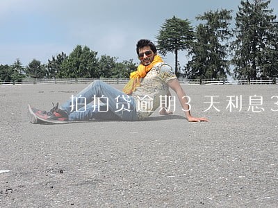 拍拍贷逾期3天利息38 拍拍贷逾期3天利息38