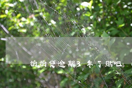 拍拍贷逾期3年了贴吧