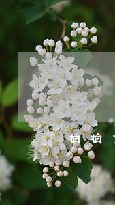 拍拍贷逾期3年会影响买车分期吗 拍拍贷逾期3年会影响买车分期吗