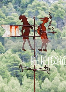 拍拍贷逾期3年只能还本金吗 拍拍贷逾期3年只能还本金吗