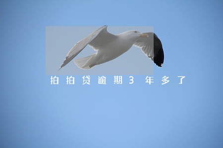 拍拍贷逾期3年多了 拍拍贷逾期3年多了