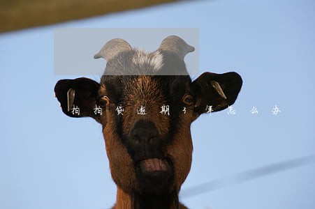 拍拍贷逾期3年怎么办 拍拍贷逾期3年怎么办