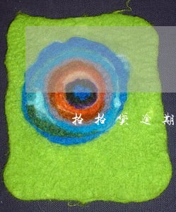 拍拍贷逾期3年让我归还本金
