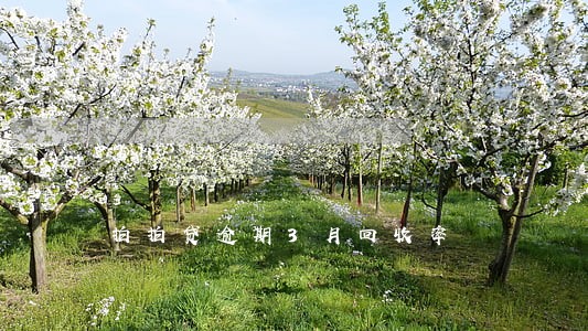 拍拍贷逾期3月回收率