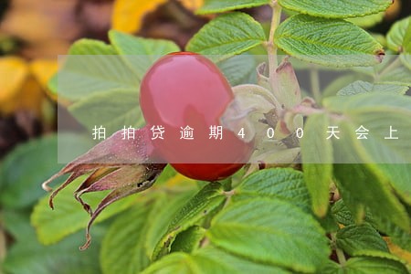 拍拍贷逾期400天会上征信吗 拍拍贷逾期400天会上征信吗