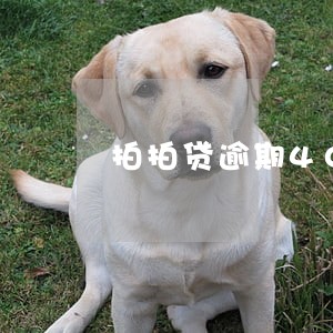 拍拍贷逾期40天严重吗 拍拍贷逾期40天严重吗