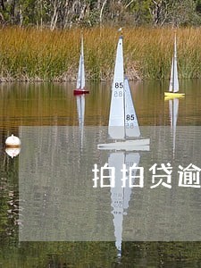 拍拍贷逾期45天会上门吗 拍拍贷逾期45天会上门吗