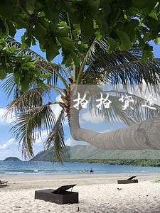 拍拍贷逾期4个月上门了 拍拍贷逾期4个月上门了