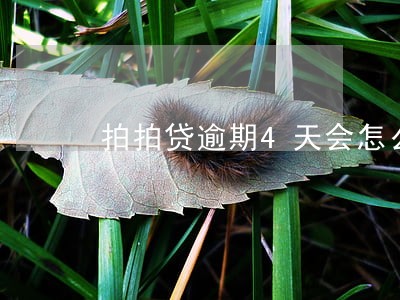 拍拍贷逾期4天会怎么样 拍拍贷逾期4天会怎么样