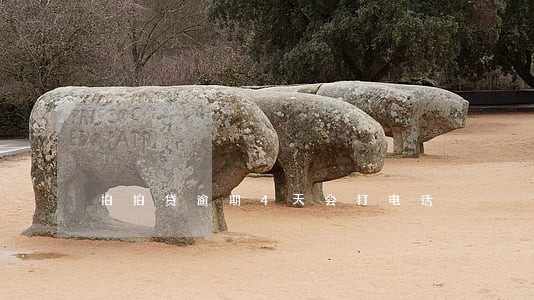 拍拍贷逾期4天会打电话 拍拍贷逾期4天会打电话