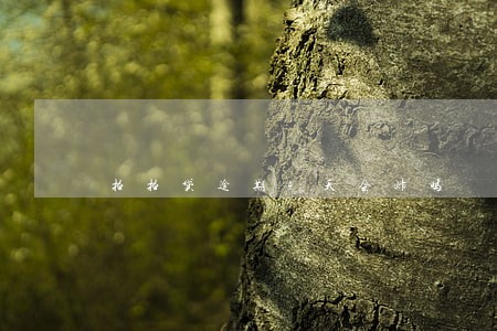 拍拍贷逾期4天会炸吗 拍拍贷逾期4天会炸吗