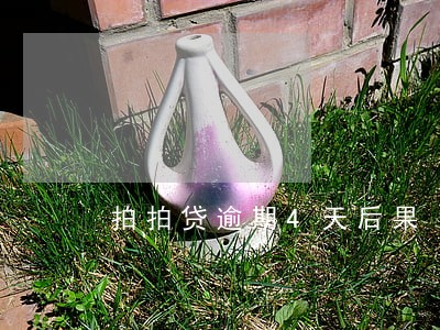 拍拍贷逾期4天后果 拍拍贷逾期4天后果