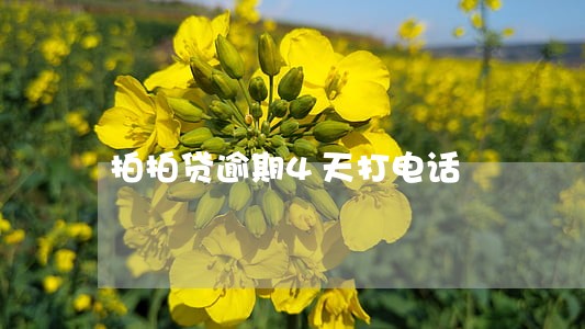 拍拍贷逾期4天打电话 拍拍贷逾期4天打电话